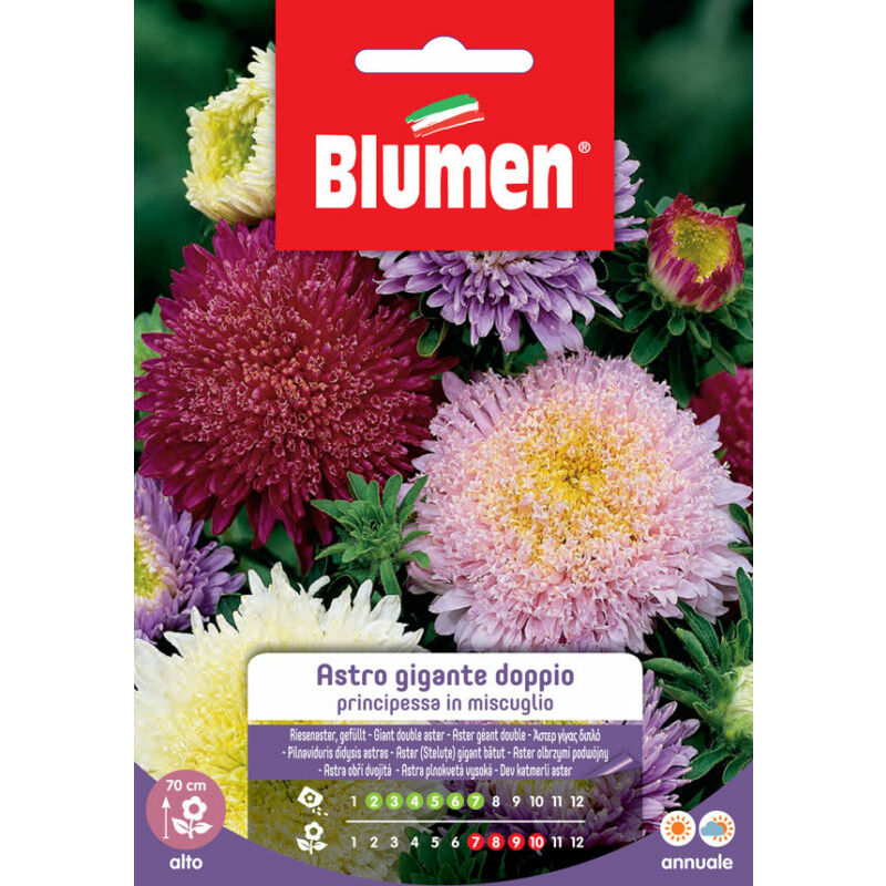 foto del prodotto semi di piuma di principessa gigante blumen