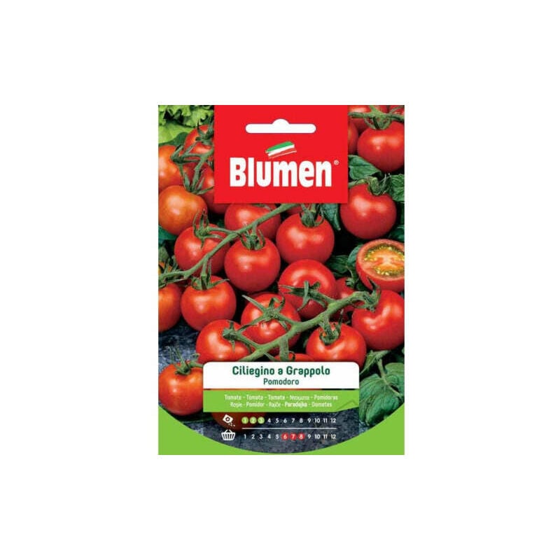 foto del prodotto semi di pomodoro ciliegino a grappolo f.1 blumen