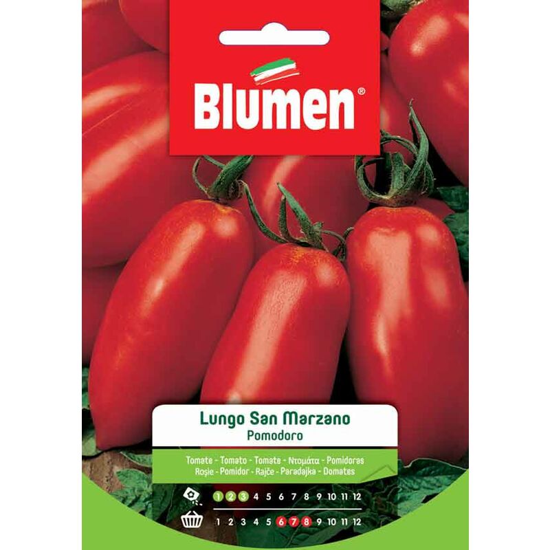 foto del prodotto semi di pomodoro lungo san marzano blumen