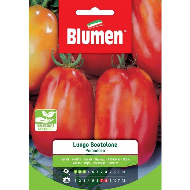 foto del prodotto semi di pomodoro lungo scatolone blumen