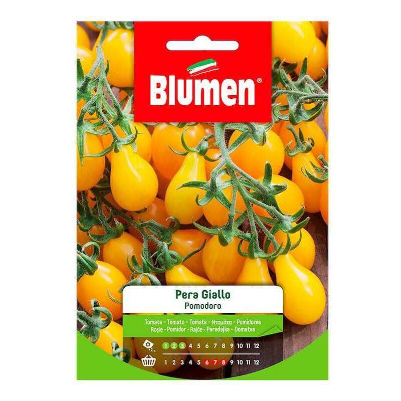 foto del prodotto semi di pomodoro pera giallo in busta