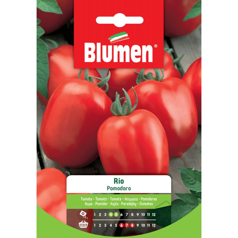 foto del prodotto semi di pomodoro rio nano blumen