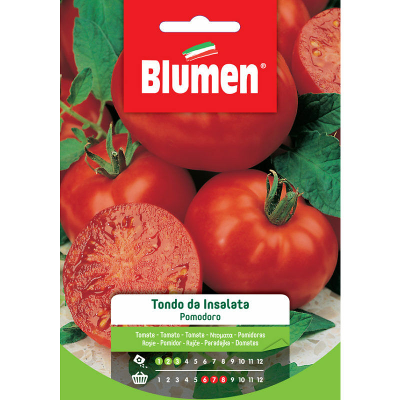 foto del prodotto semi di pomodoro tondo da insalata - blumen