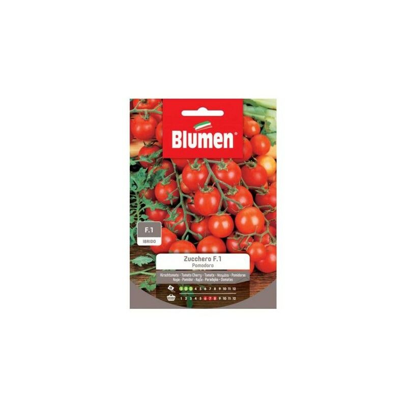 foto del prodotto semi di pomodoro zucchero f.1 blumen