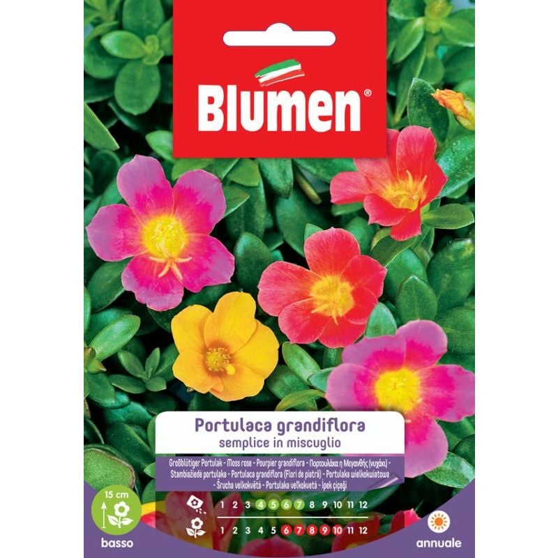 foto del prodotto semi di portulaca grandiflora semplice blumen