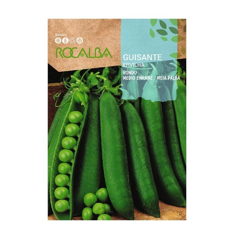 foto del prodotto semi di rocalba rondo 250gr