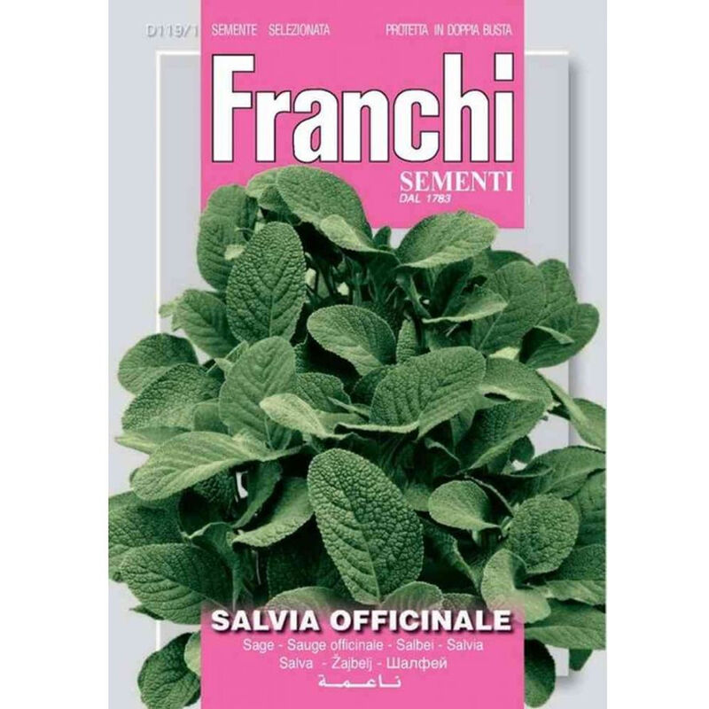 foto del prodotto semi di salvia officinale franchi sementi