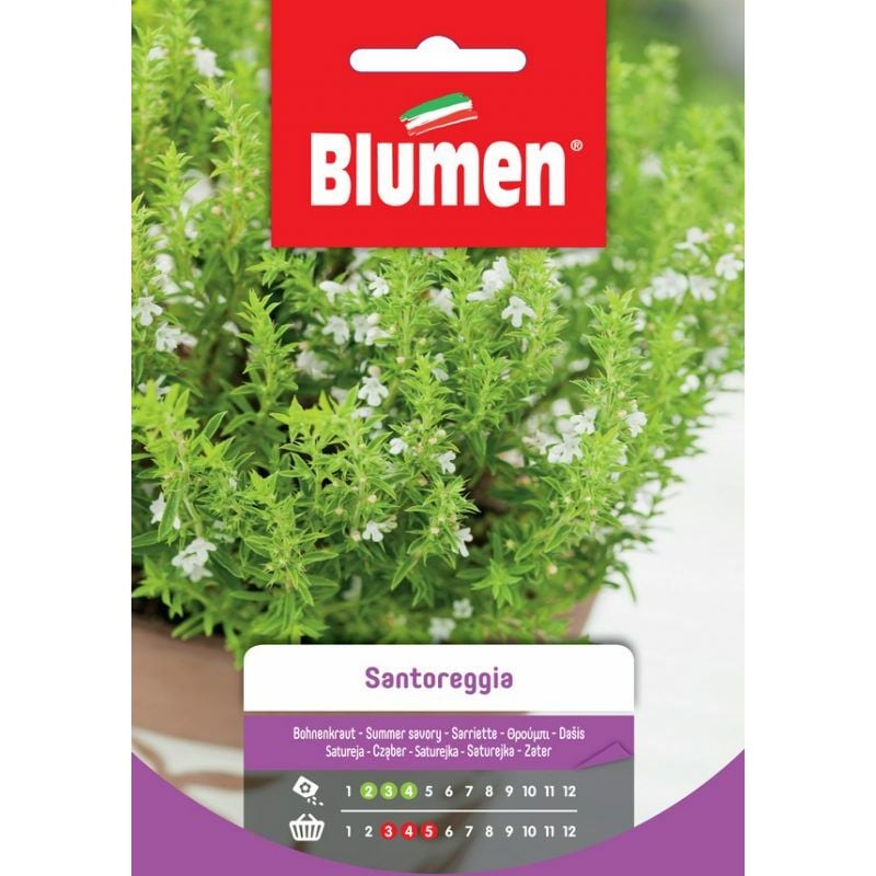foto del prodotto semi di santoreggia blumen