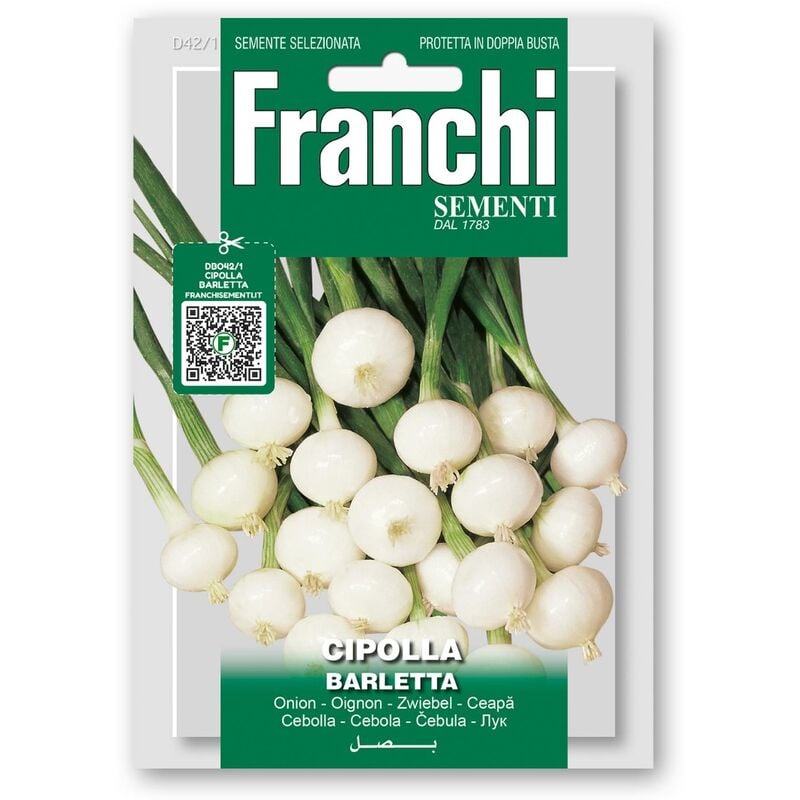 foto del prodotto semi di semi di cipolla blanca barletta franchi sementi