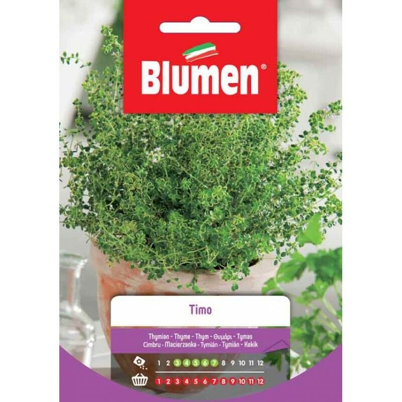 foto del prodotto semi di timo blumen