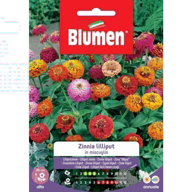 foto del prodotto semi di zinnia thumbelina nana da bordura blumen