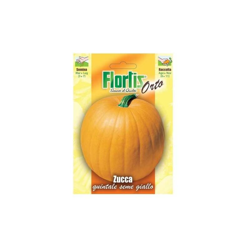 foto del prodotto semi di zucca quintale