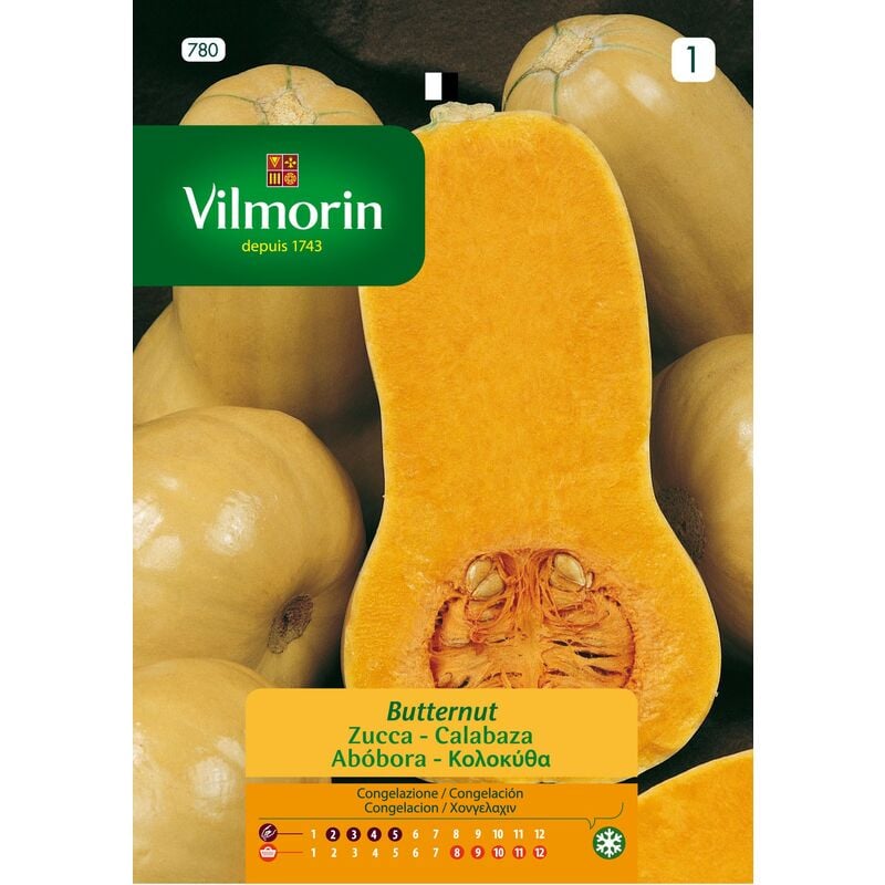 foto del prodotto semi di zucca vilmorin butternut s 1 780, oltre 7 gr