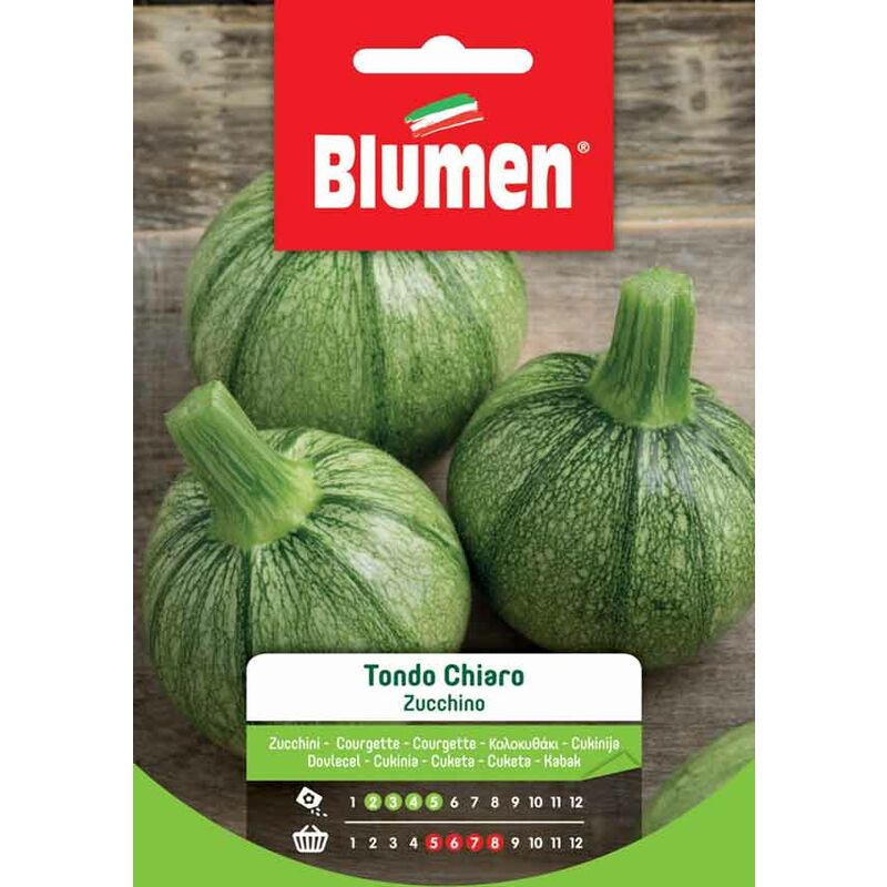 foto del prodotto semi di zucchino tondo scuro blumen