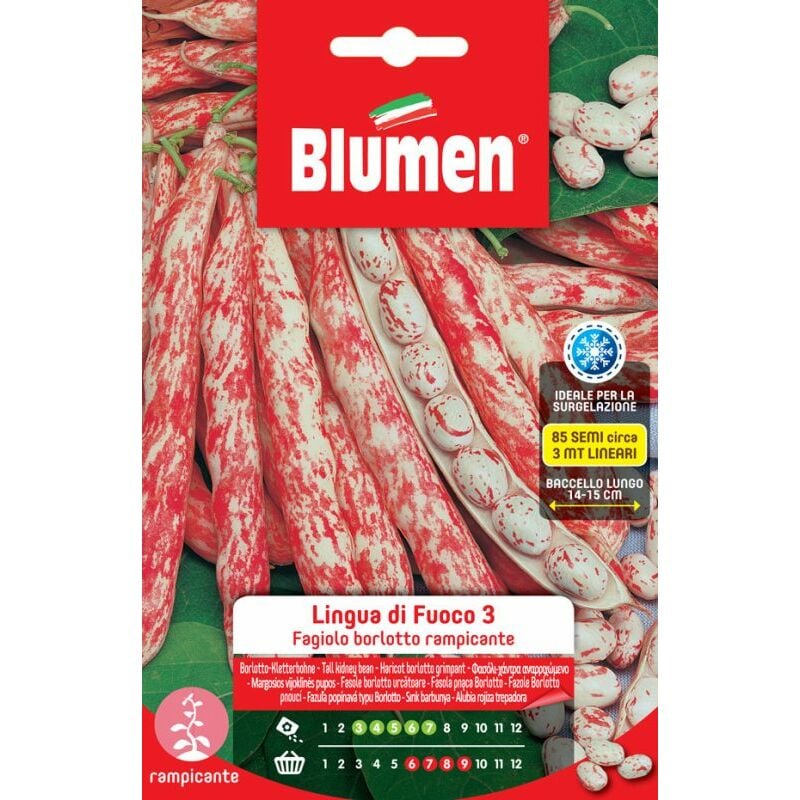 foto del prodotto semi fagioli borlotti rampicanti lingua di fuoco 3 blumen sementi