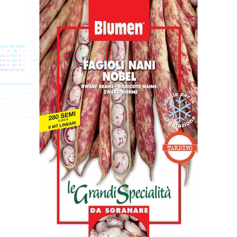 foto del prodotto semi fagioli nani nobel blumen