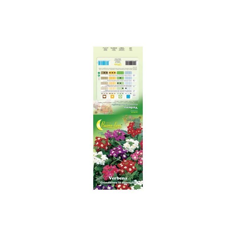 foto del prodotto semi garden verbena hybrida 10 pz