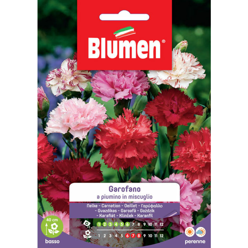foto del prodotto semi garofano a piumino mix blumen sementi orto