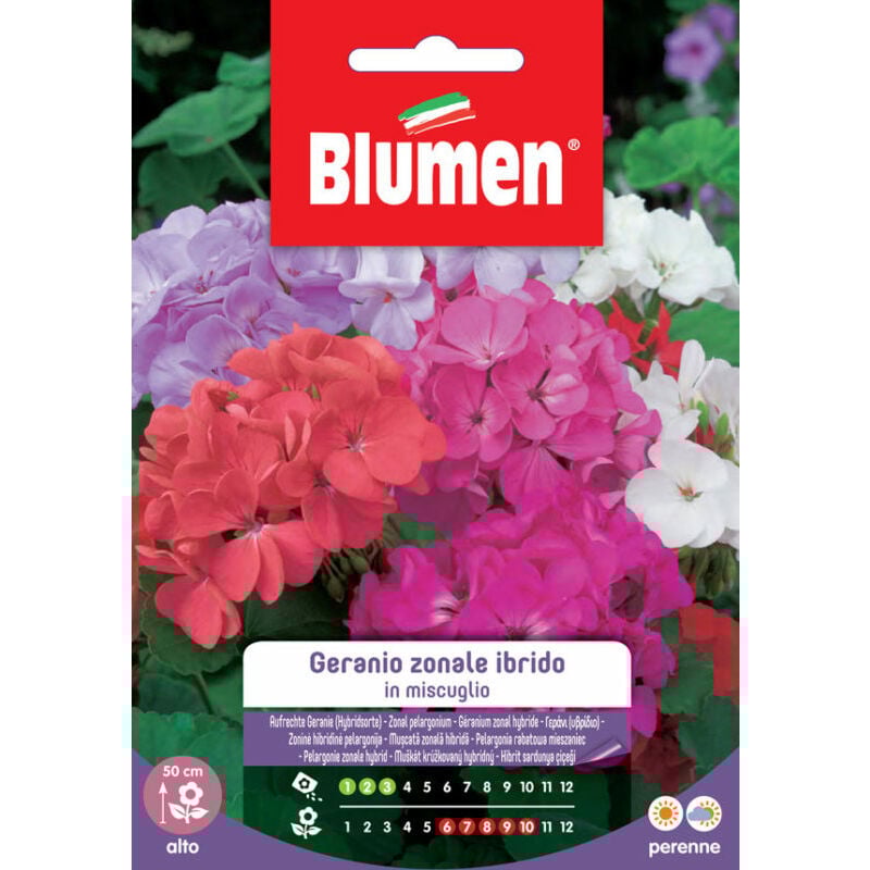 foto del prodotto semi geranio zonale ibrido in mix blumen