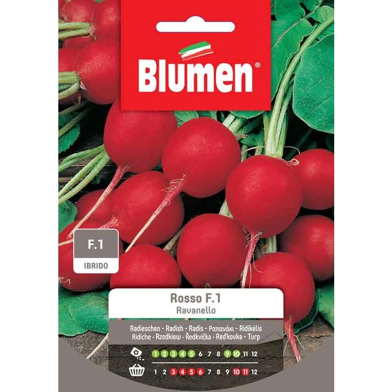 foto del prodotto semi ibridi di ravanello rosso f.1 blumen