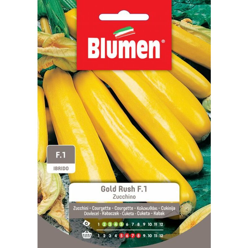foto del prodotto semi ibridi di zucchino gold rush f.1