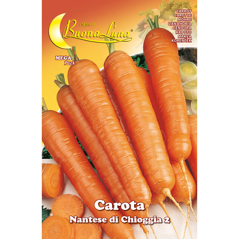 foto del prodotto semi orto carota di chioggia