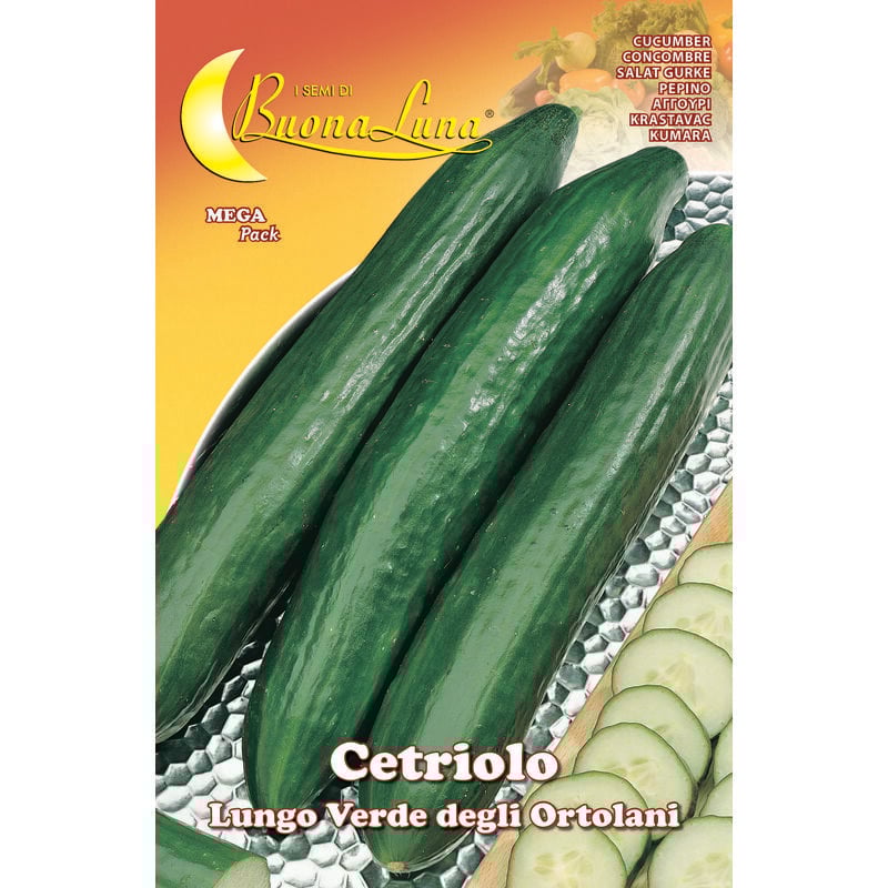 foto del prodotto semi orto cetriolo verde