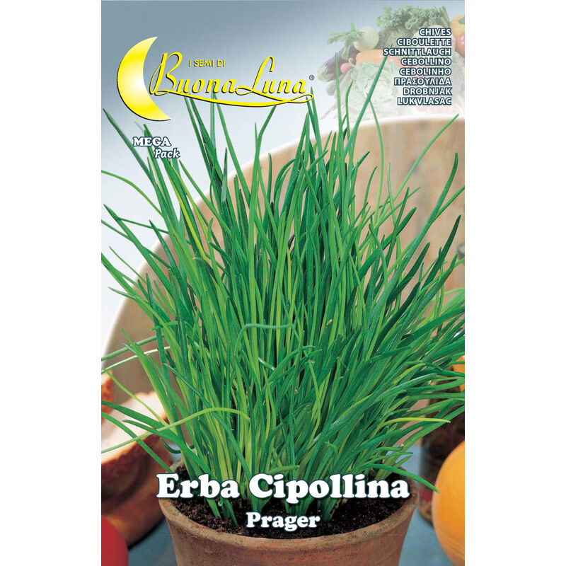 foto del prodotto semi orto erba cipollina