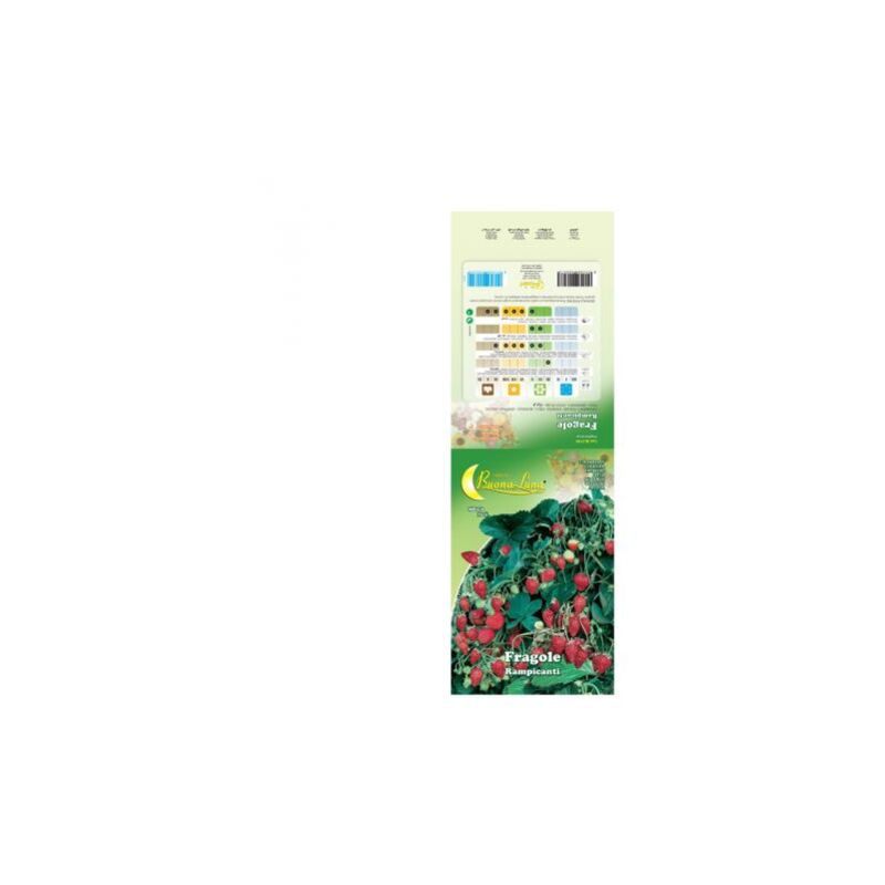 foto del prodotto semi orto fragole rampicanti 10 pz
