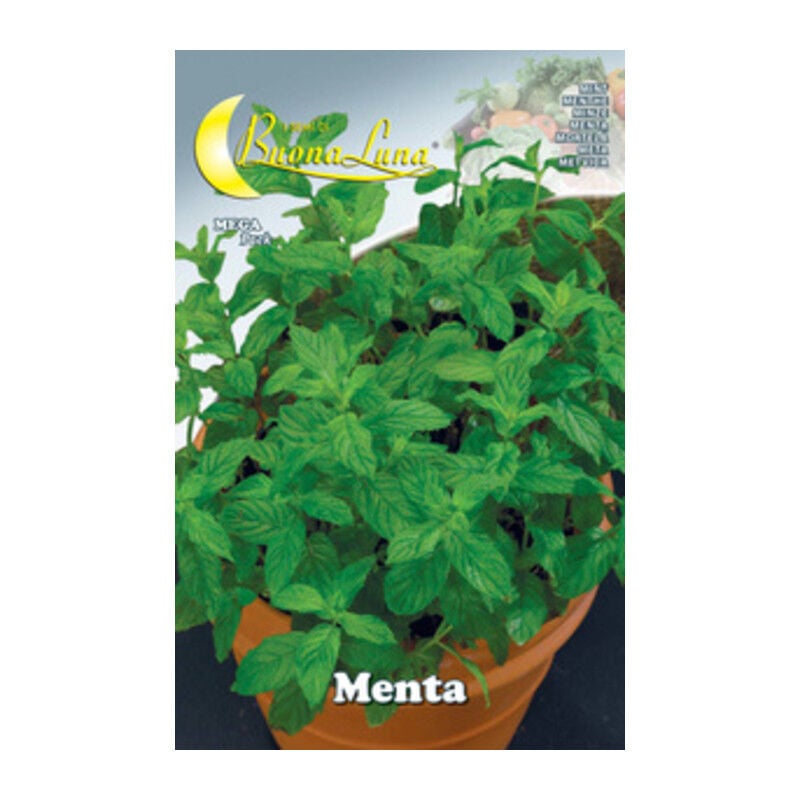 foto del prodotto semi orto menta. prezzo per 1 pezzo.