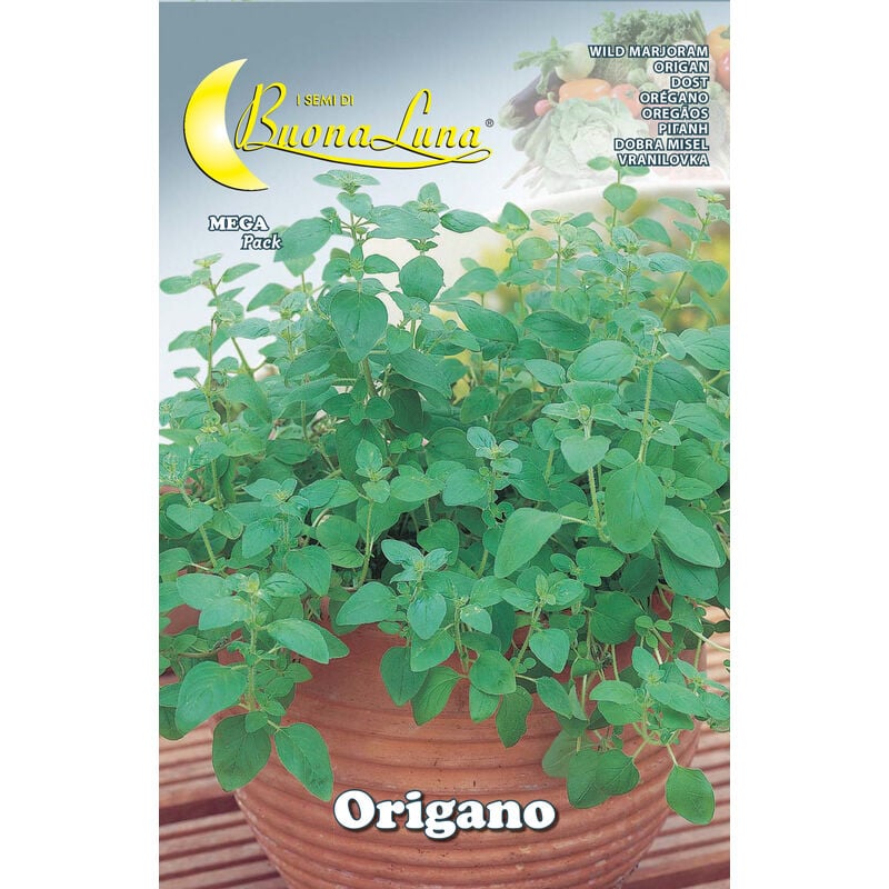 foto del prodotto semi orto origano
