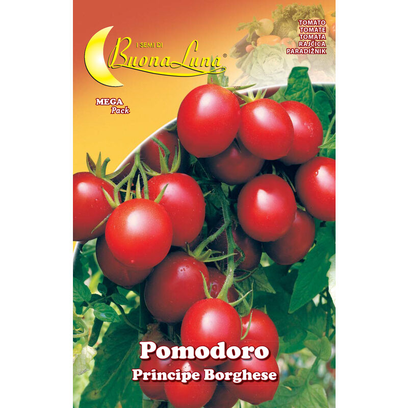 foto del prodotto semi orto pomodoro ciliegino