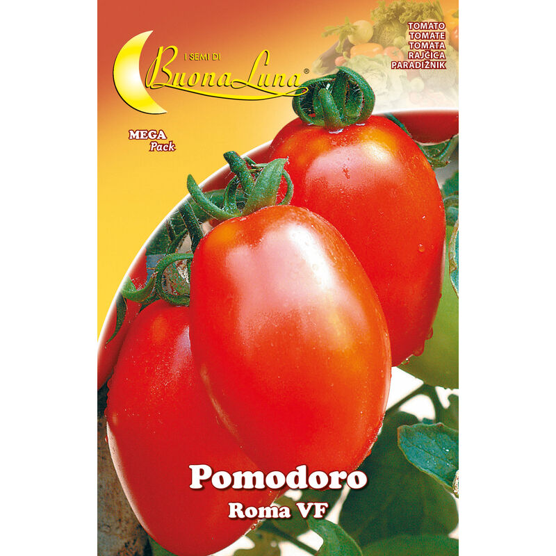 foto del prodotto semi orto pomodoro roma