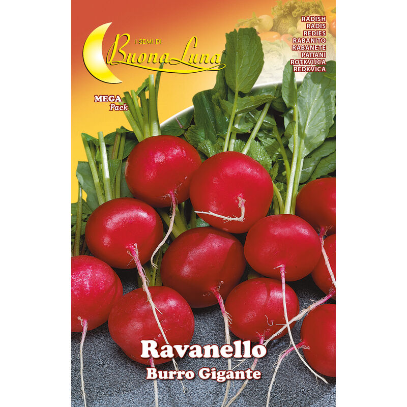 foto del prodotto semi orto ravanello gigante