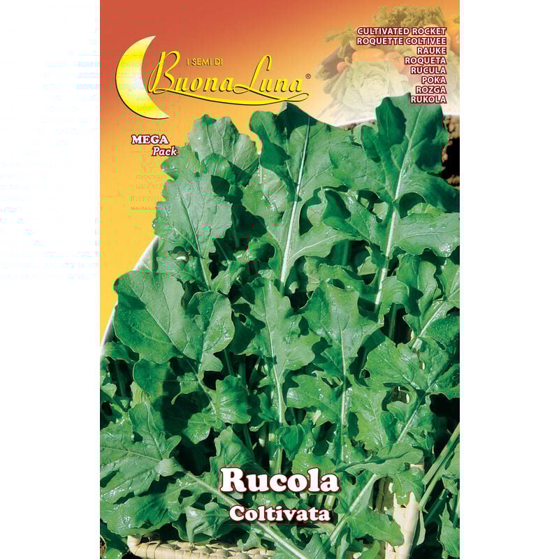 foto del prodotto semi orto rucola coltivata