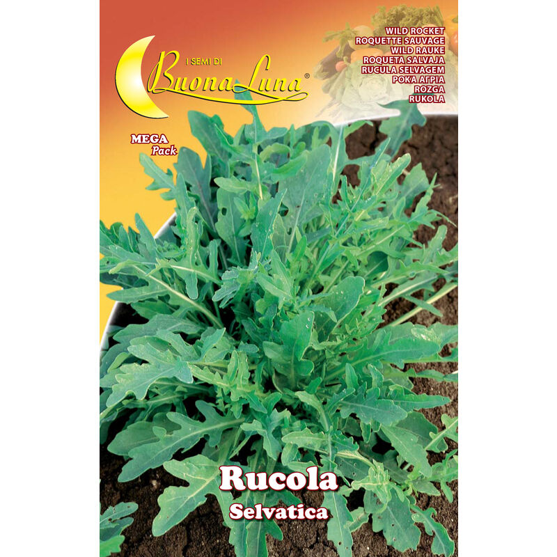 foto del prodotto semi orto rucola selvatica