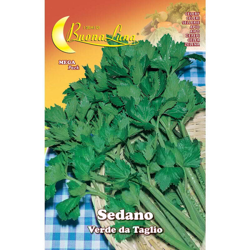 foto del prodotto semi orto sedano verde da taglio