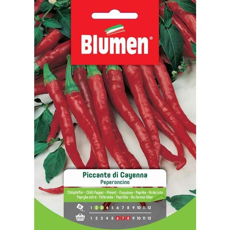 foto del prodotto semi peperoncino piccante di cayenna blumen