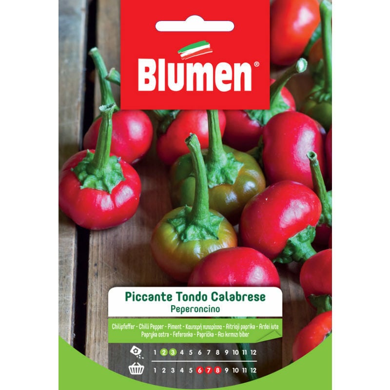foto del prodotto semi peperoncino piccante tondo calabrese blumen sementi orto
