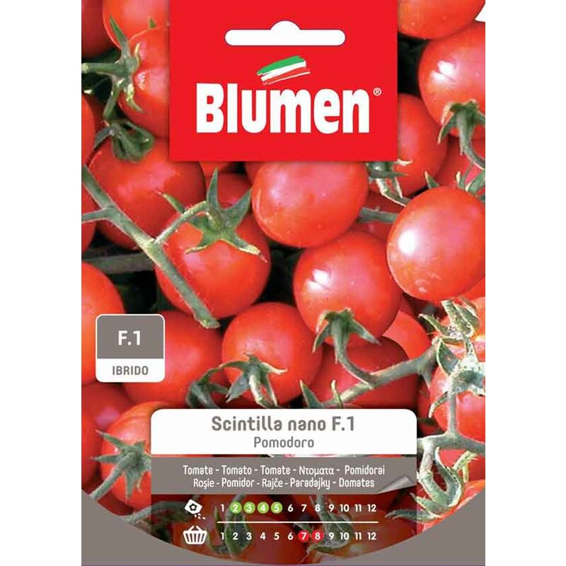 foto del prodotto semi pomodoro scintilla nano f1 blumen sementi orto