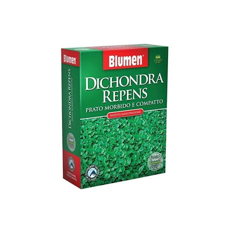 foto del prodotto semi prato dichondra repens 200 gr blumen