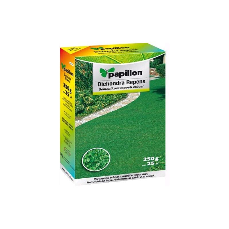 foto del prodotto semi prato dichondra repens papillon 250gr ideale per aiuole