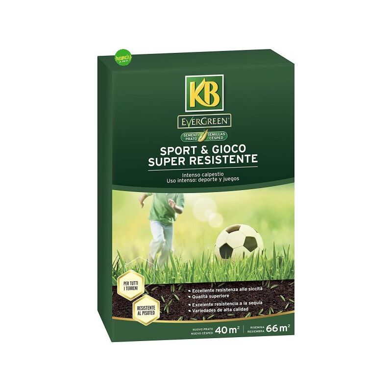 foto del prodotto semi prato evergreen sport e gioco kb 1kg