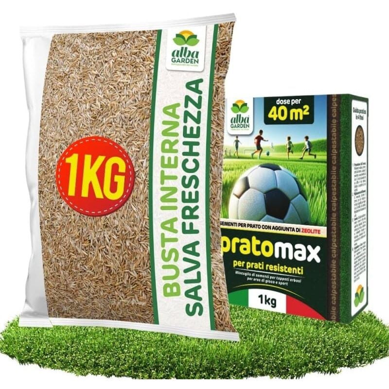 foto del prodotto semi prato resistente al calpestio sementi erba per tappeti erbosi per aree gioco super calpestabile rapida crescita per ogni tipo di terreno e