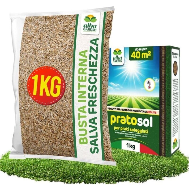 foto del prodotto semi prato resistente alla siccità - sementi erba per tappeti erbosi per zone soleggiate - calpestabile - rapida crescita per ogni tipo di terreno per 40 m² x 1 kg