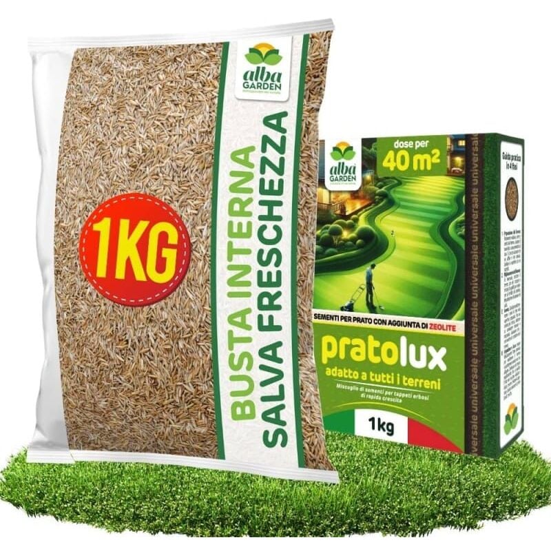 foto del prodotto semi prato universale resistente a zone ombreggiate e soleggiate - sementi erba per tappeti erbosi inverno estate - calpestabile - rapida crescita per ogni tipo di terreno per 40m² x 1 kg