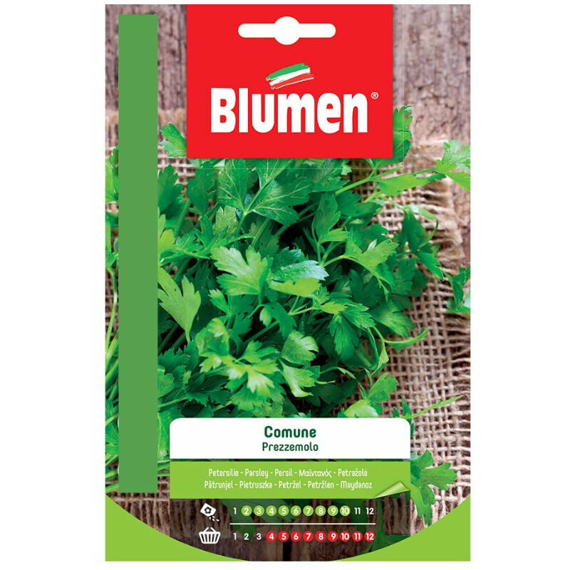 foto del prodotto semi prezzemolo comune blumen sementi orto