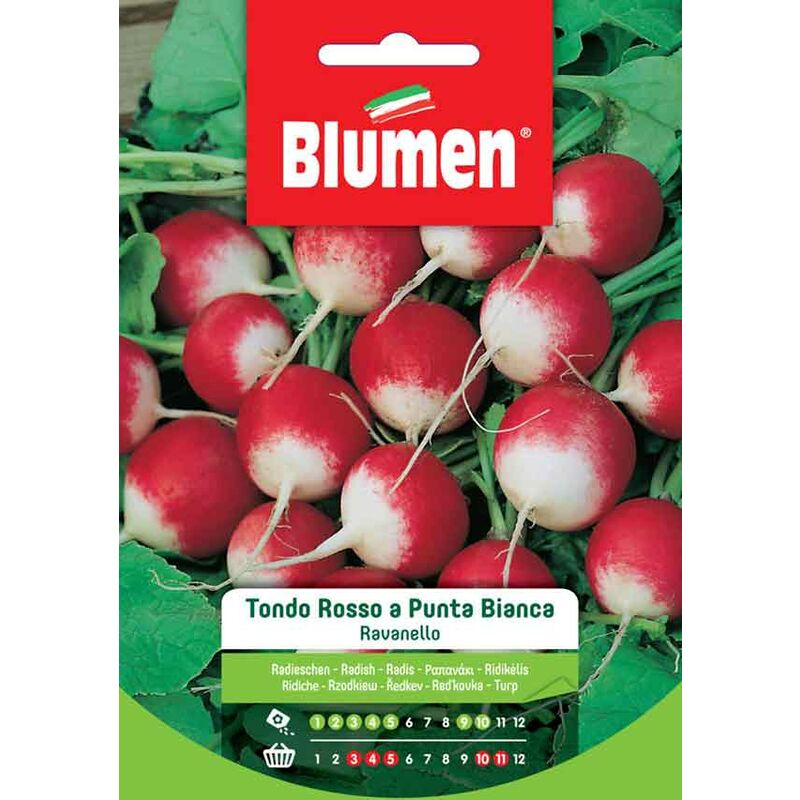 foto del prodotto semi ravanello rosso tondo a punta bianca blumen