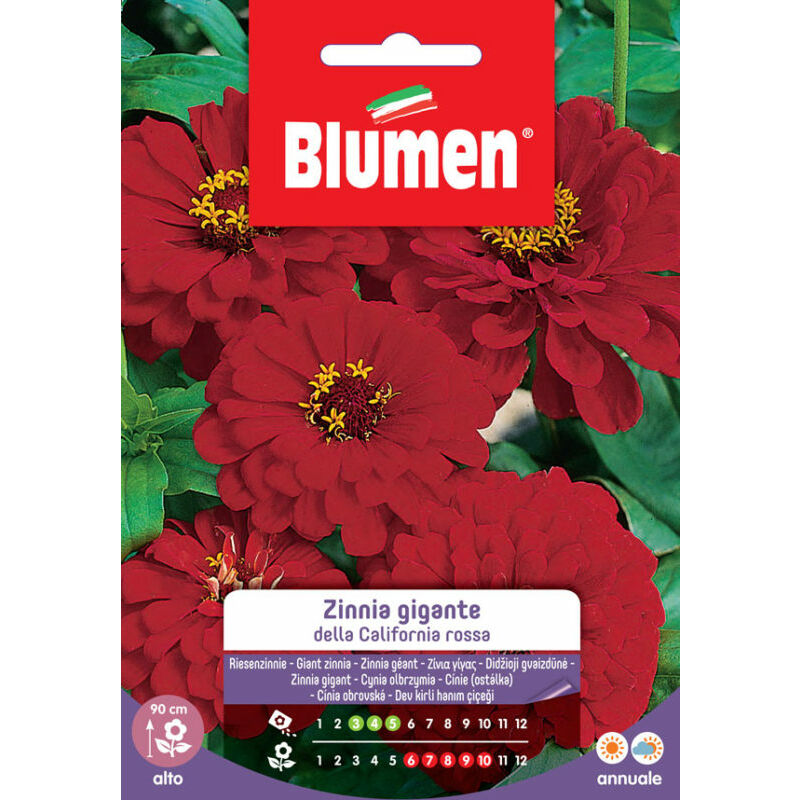 foto del prodotto semi zinnia gigante della california rossa blumen sementi fiori