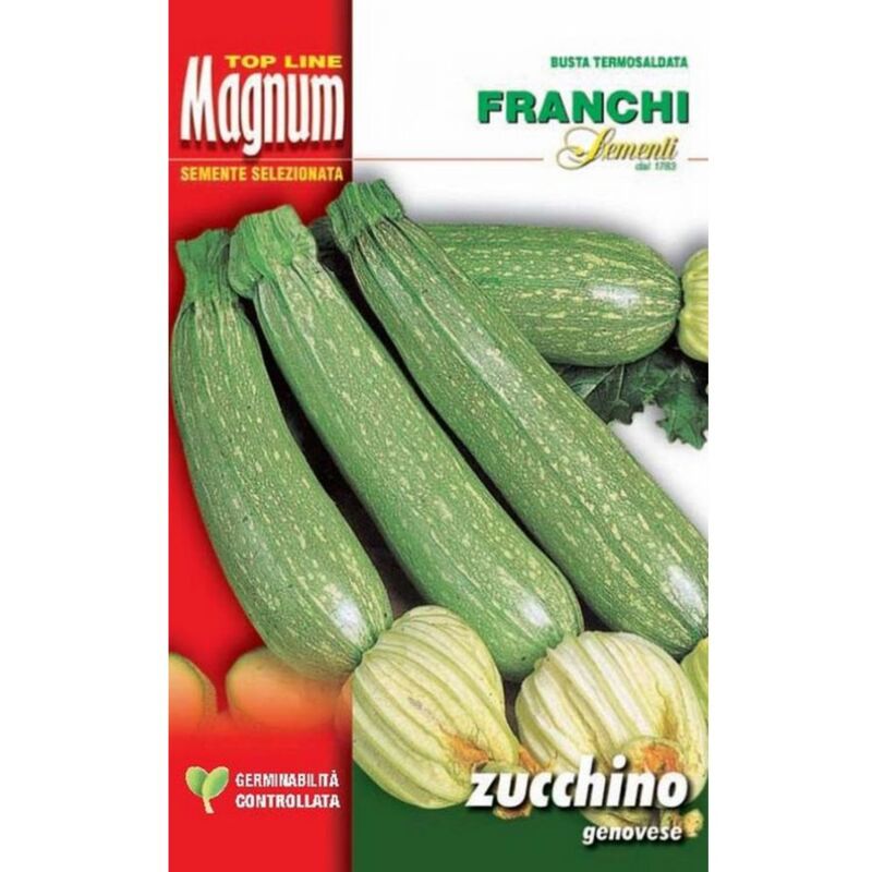 foto del prodotto semi zucchino genovese busta magnum franchi sementi
